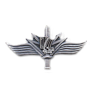 Picture of Die Struck 06