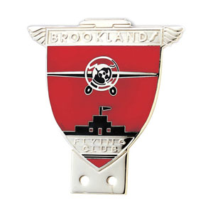 Picture of Hard Enamel 19