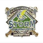 Picture of Steel Sports Pin 02